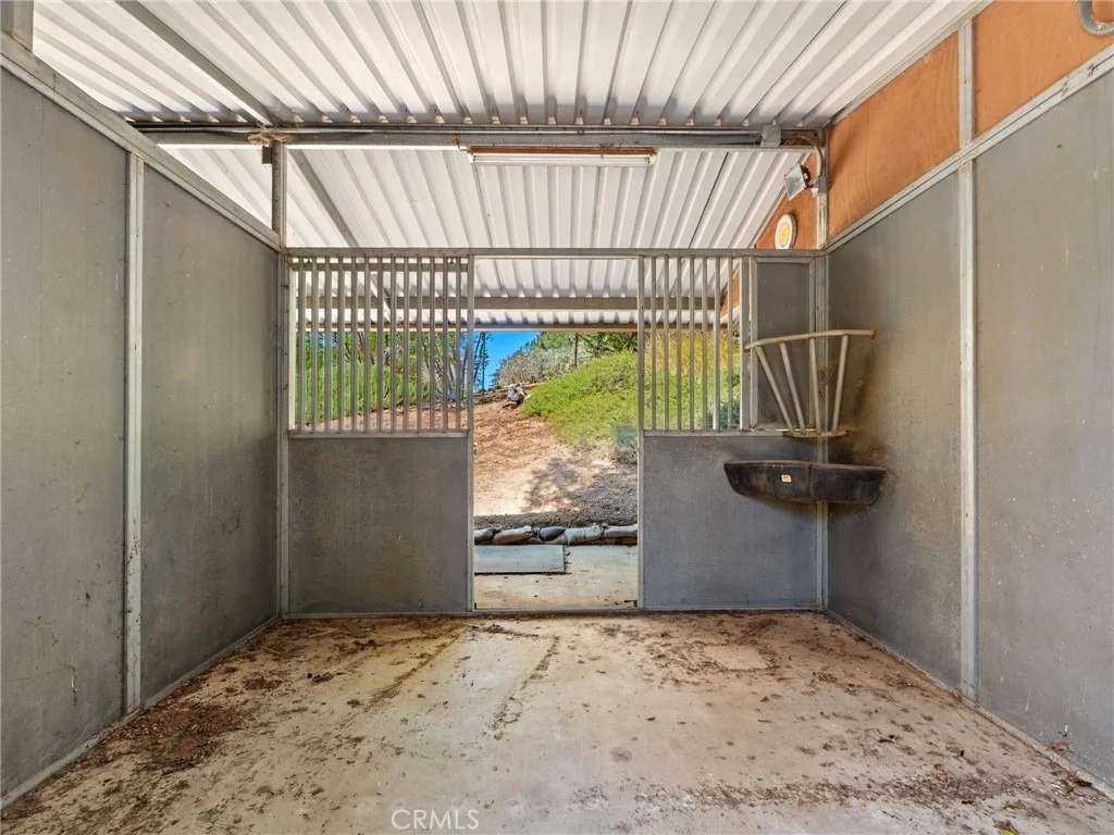 Photo of 2248 Mil Sorpresas