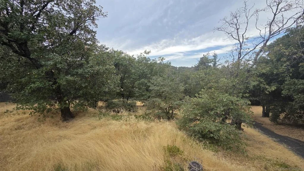 Photo of 2843 Heliotrope Drive