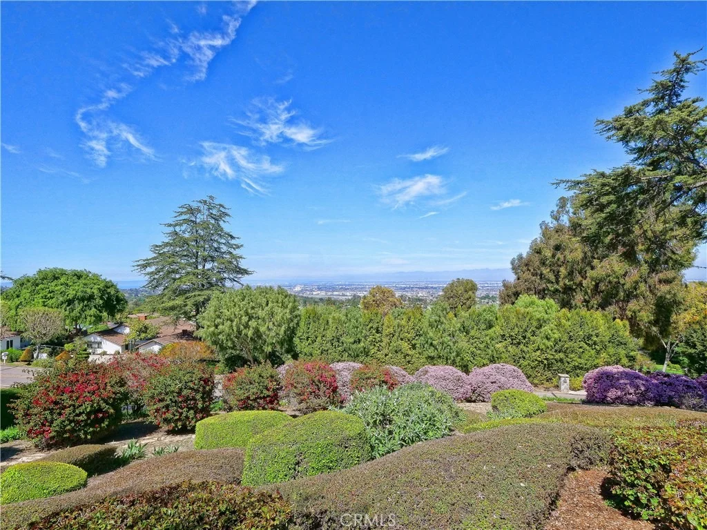 Photo of 57 Saddleback