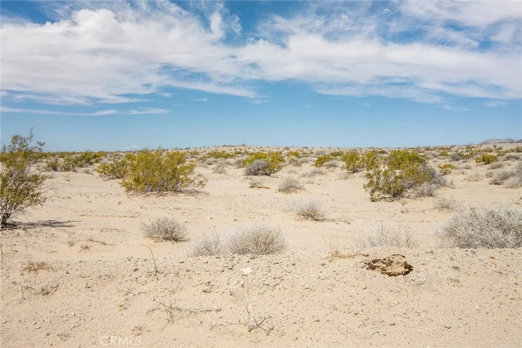 Photo of 4500 Blower Road