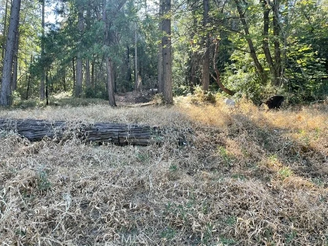 Photo of 0 Old Forbestown Road
