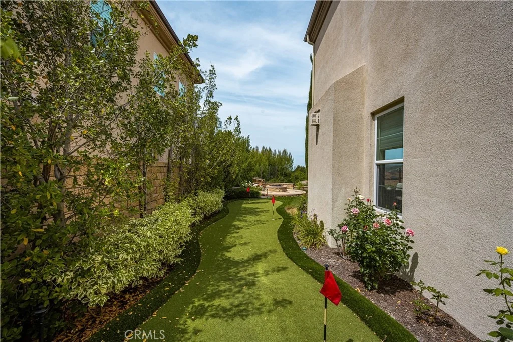 Photo of 33 Sorrel