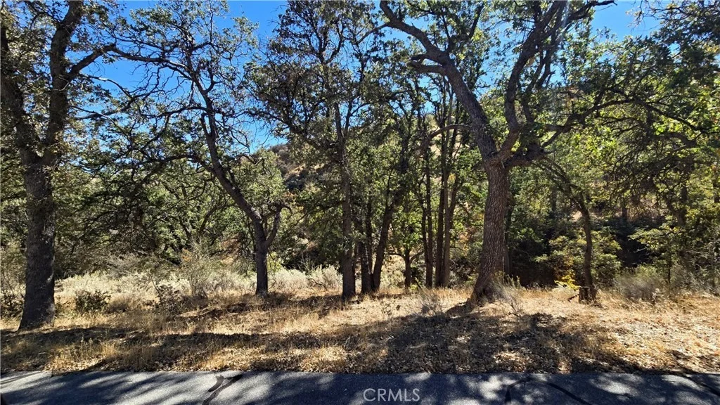 Photo of 0 Saint Moritz Drive