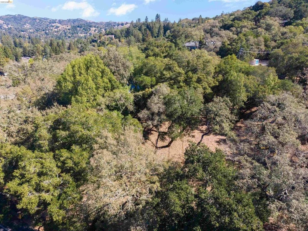 Photo of 822 Acalanes Rd