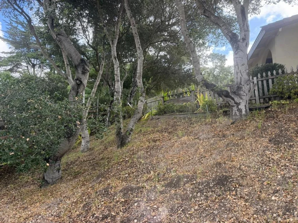 Photo of 11585 Mccarthy Road