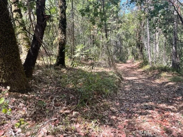 Photo of 12 Broken Springs