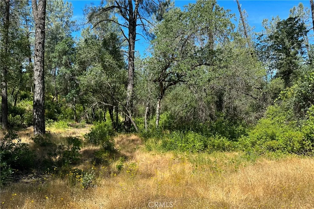 Photo of 9200 Silver King Road