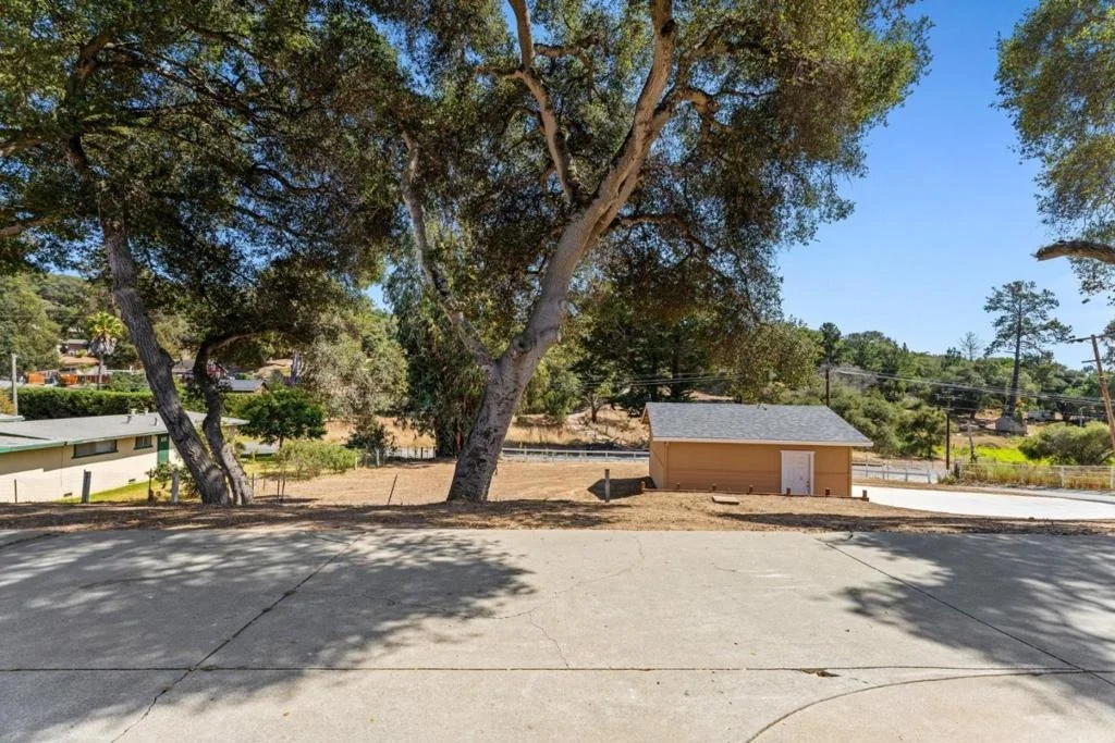 Photo of 76857695 Pine Tree