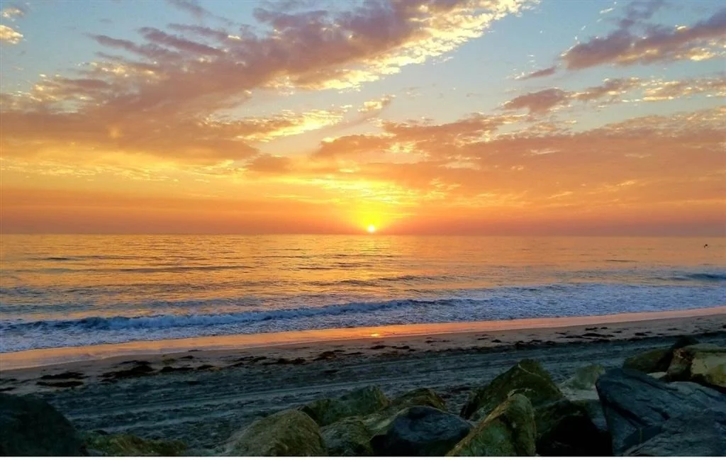 Photo of 354 Neptune