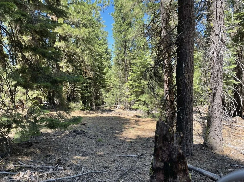 Photo of 0 Range Road