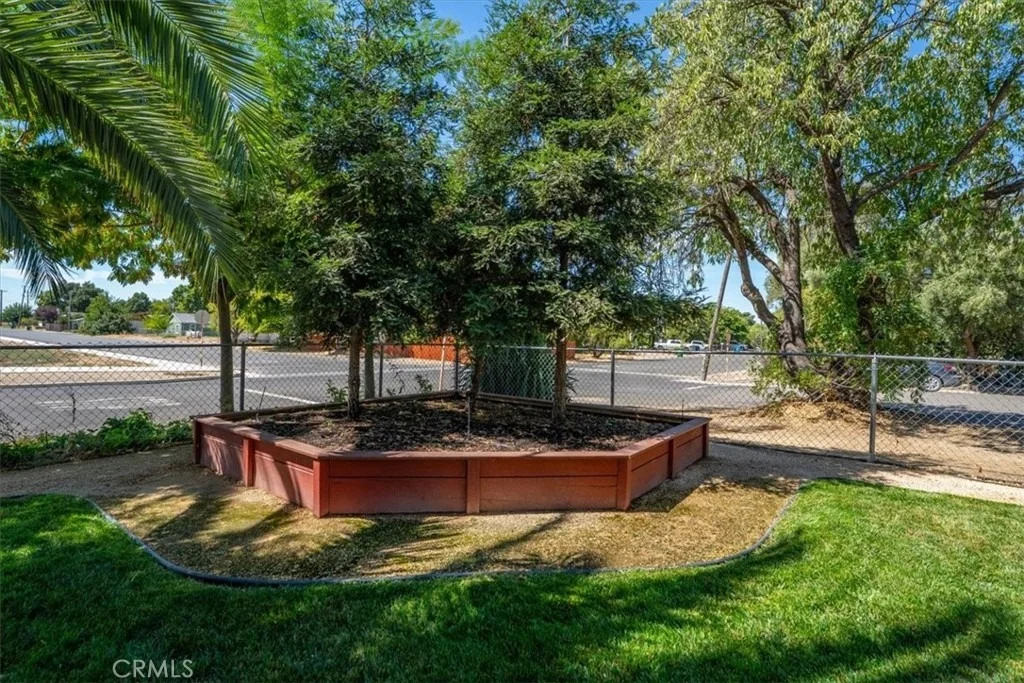 Photo of 1221 Pear