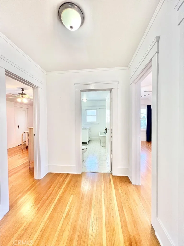 Photo of 301 Catalina