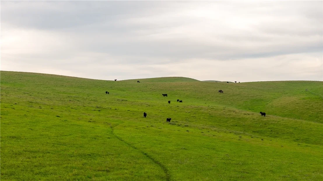 Photo of 8050 Bitterwater Road