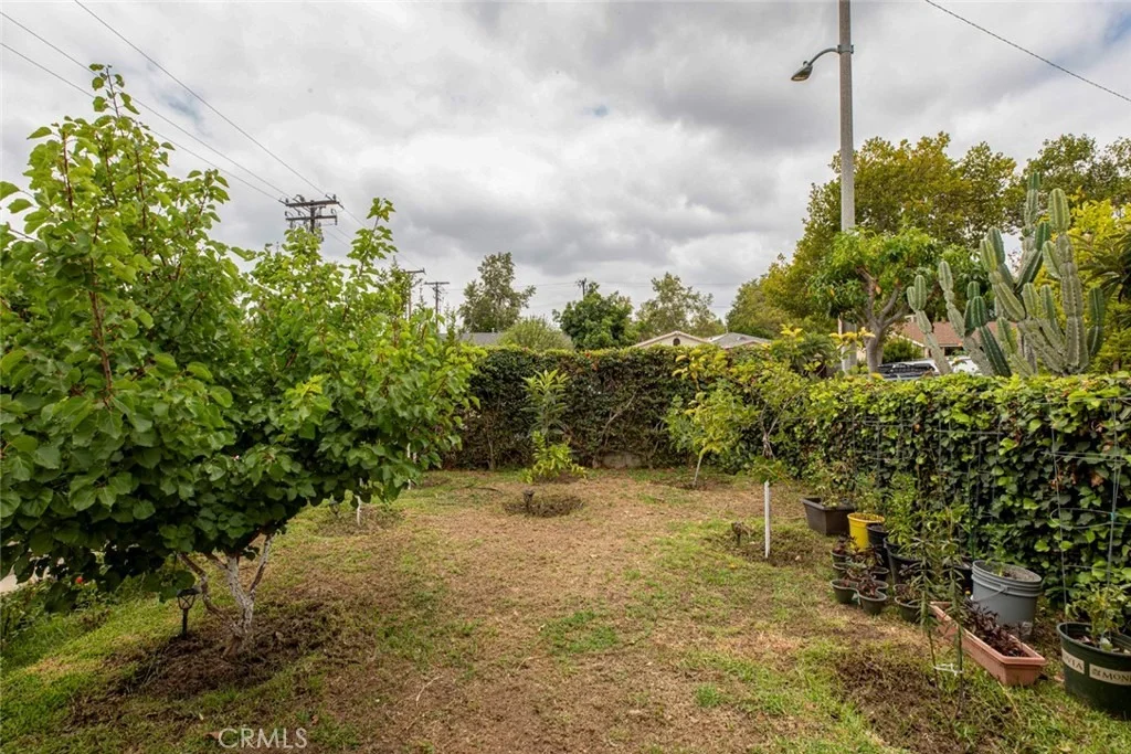 Photo of 1503 Coronel