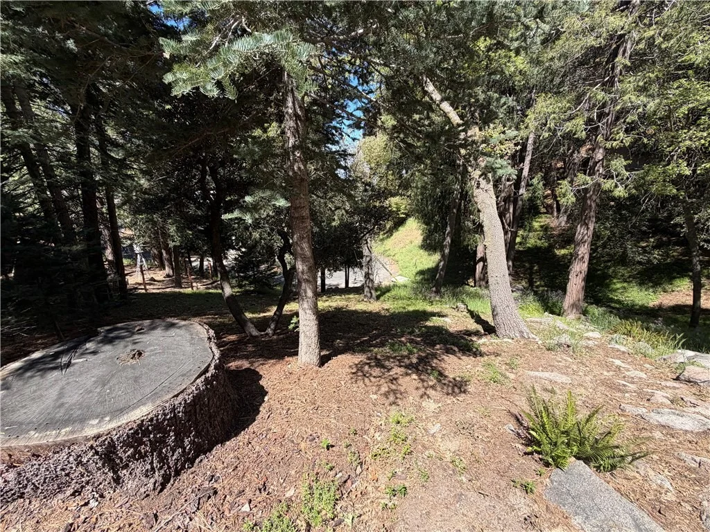 Photo of 1076 Calanda