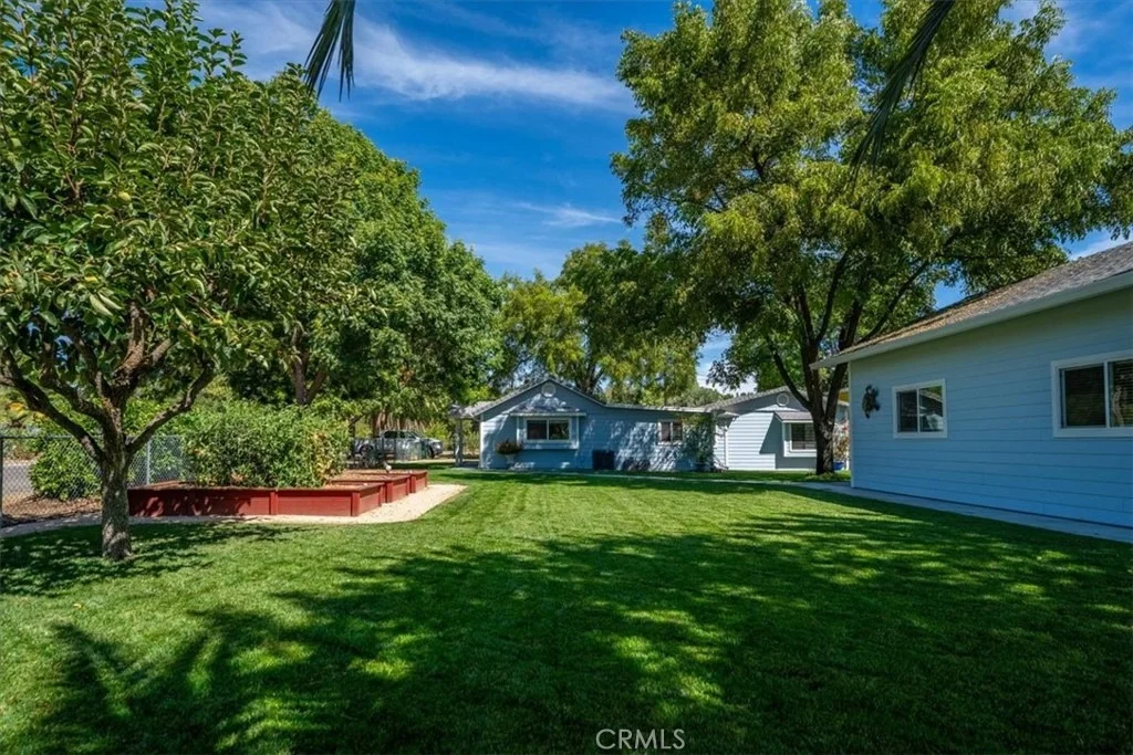 Photo of 1221 Pear