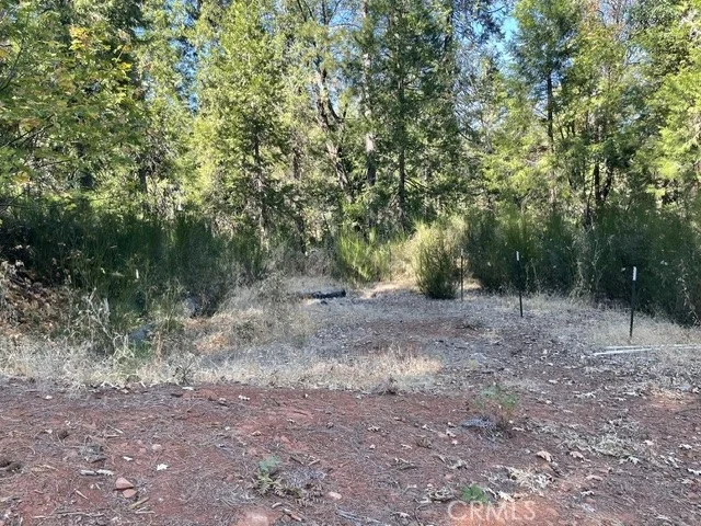 Photo of 0 Old Forbestown Road