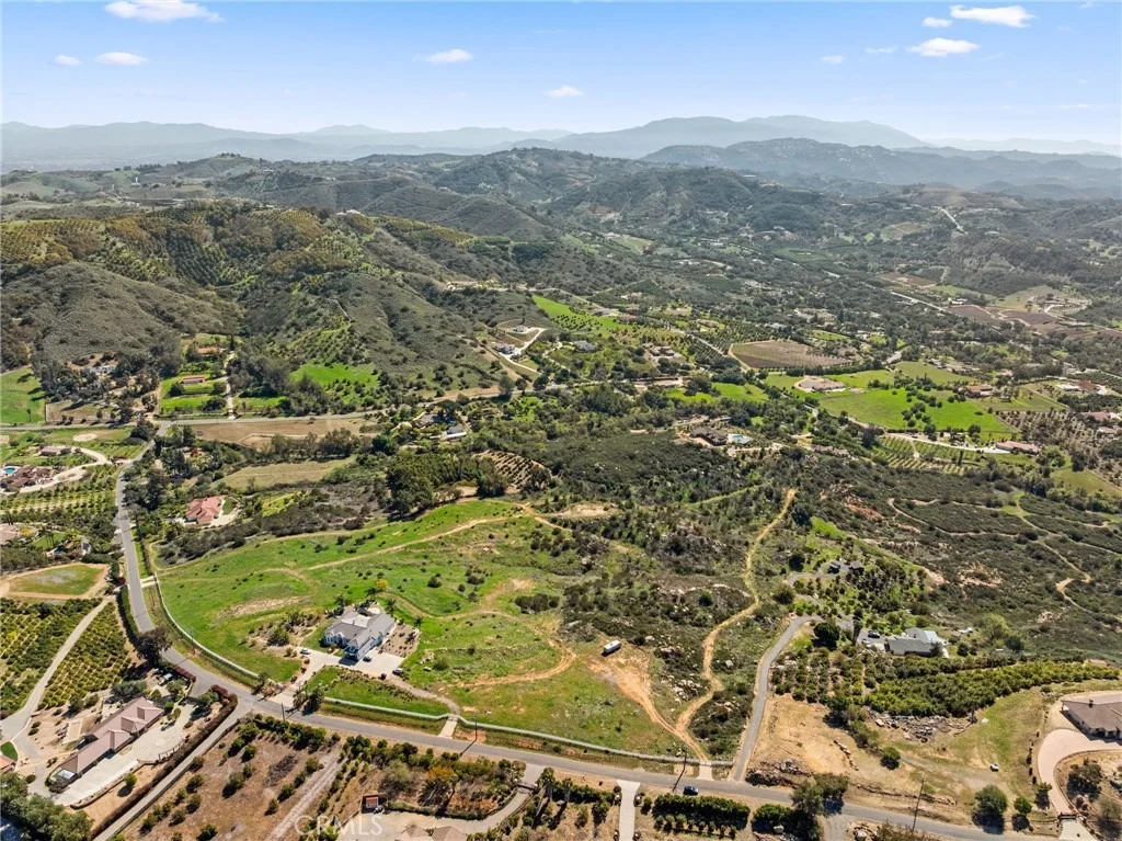 Photo of 2 Las Palmeras