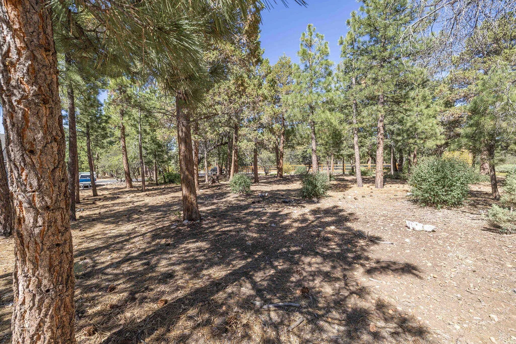 Photo of 655 Cedar Glen Drive
