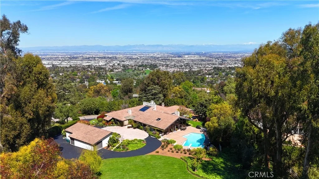 Photo of 57 Saddleback