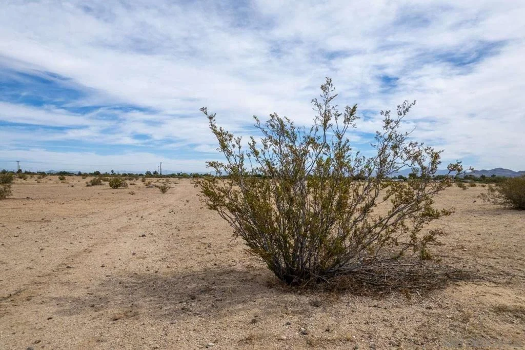 Photo of 0 Perch AVE