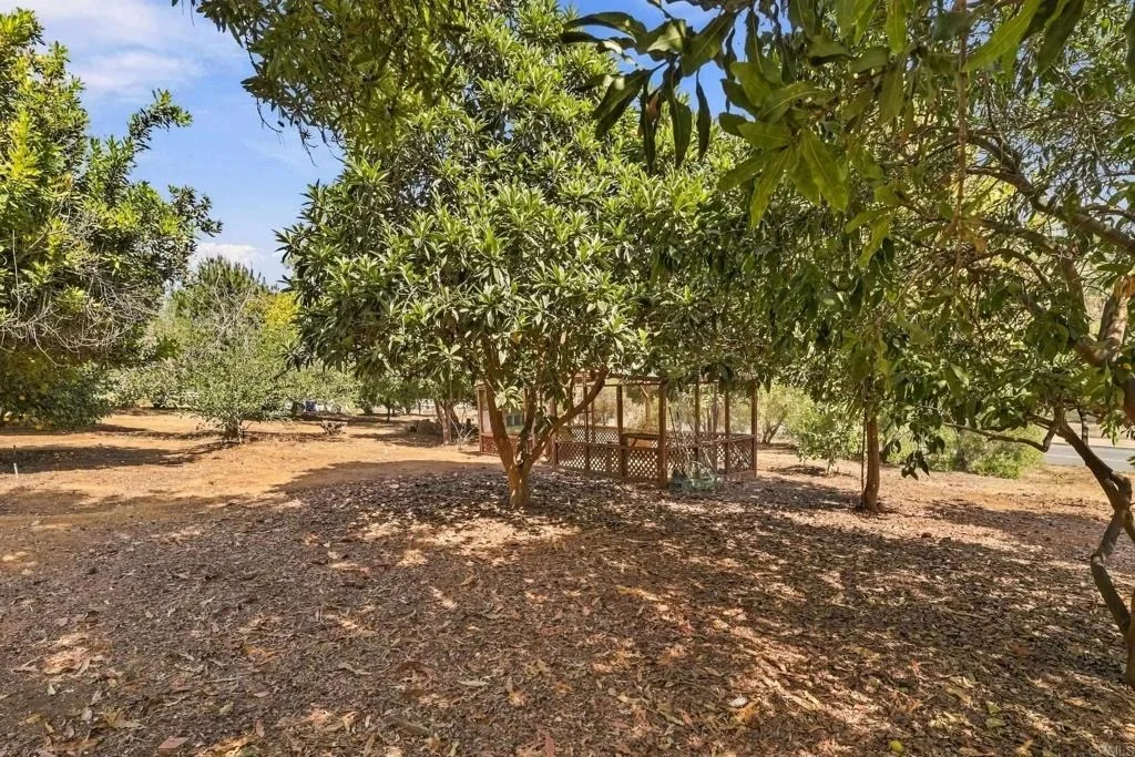 Photo of 919 Valley Dr