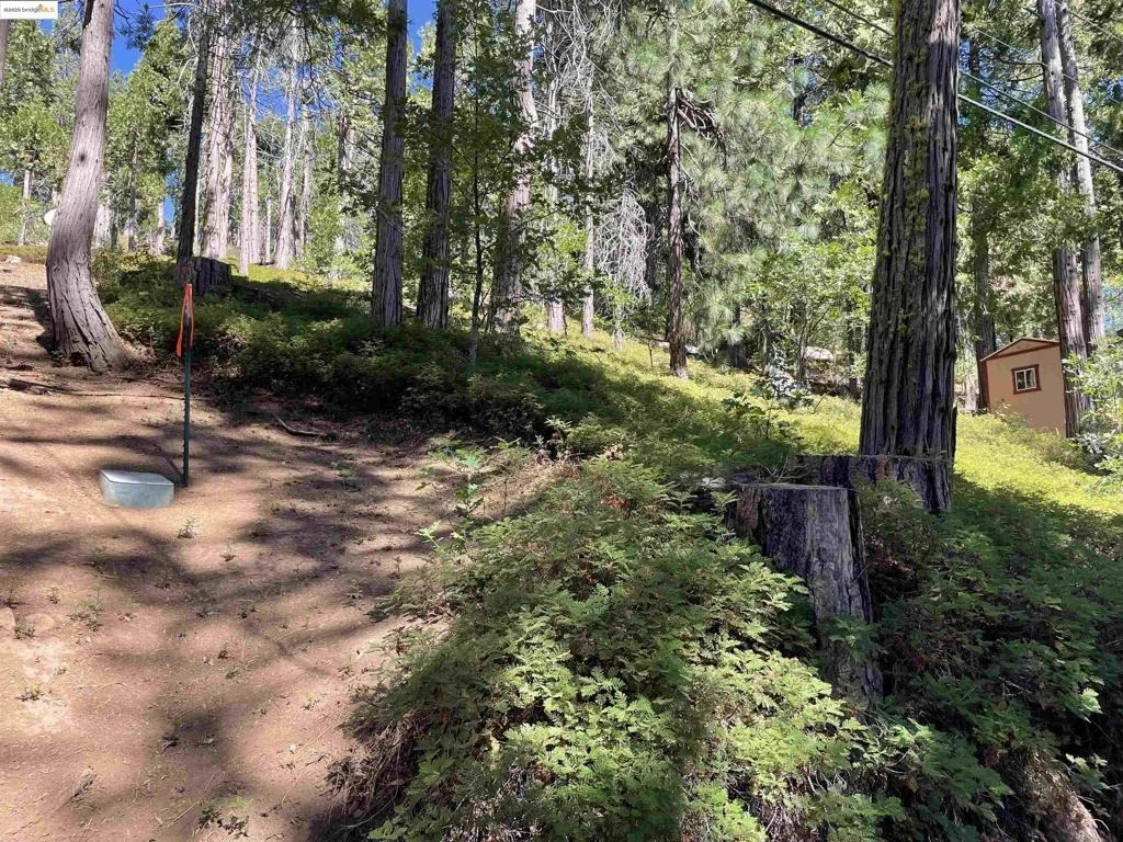Photo of 25476 Rebekah Rd