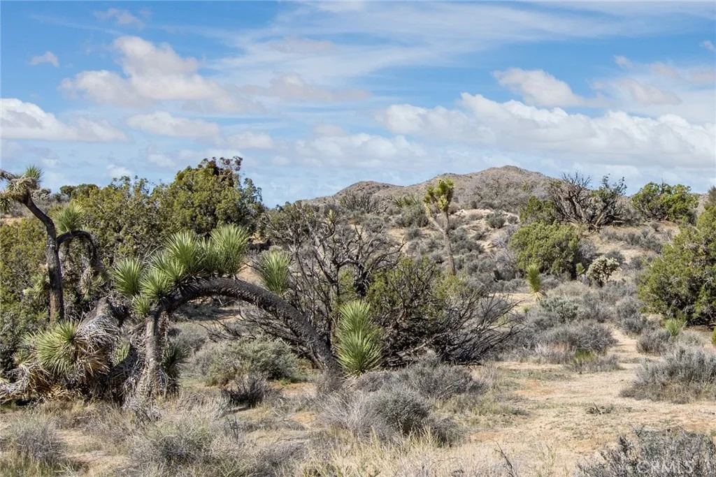 Photo of 9486 Carmelita Circle