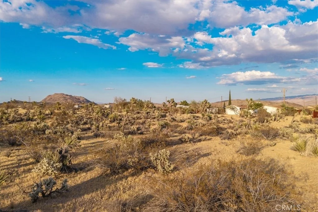 Photo of 58814 Los Coyotes