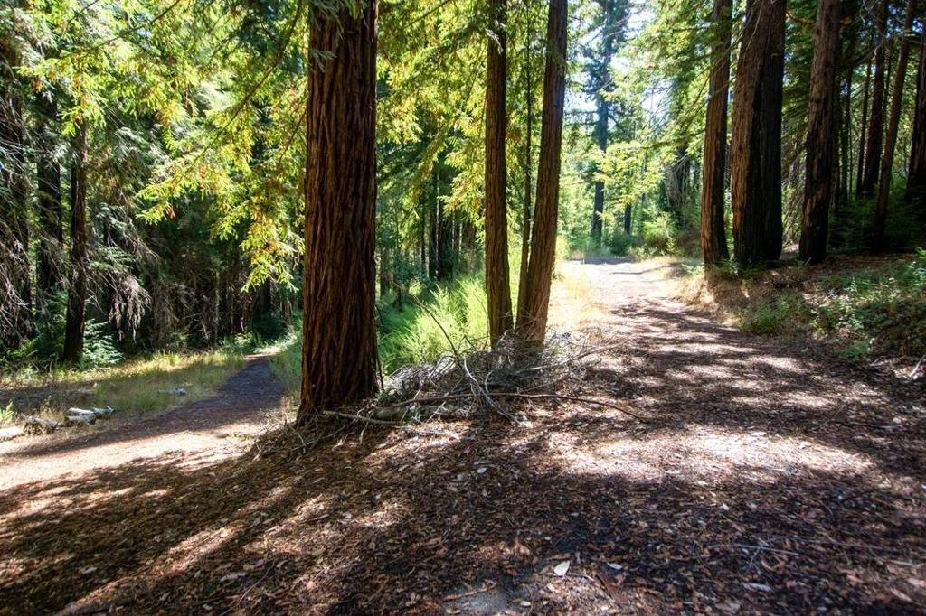 Photo of 19145 Big Basin Way