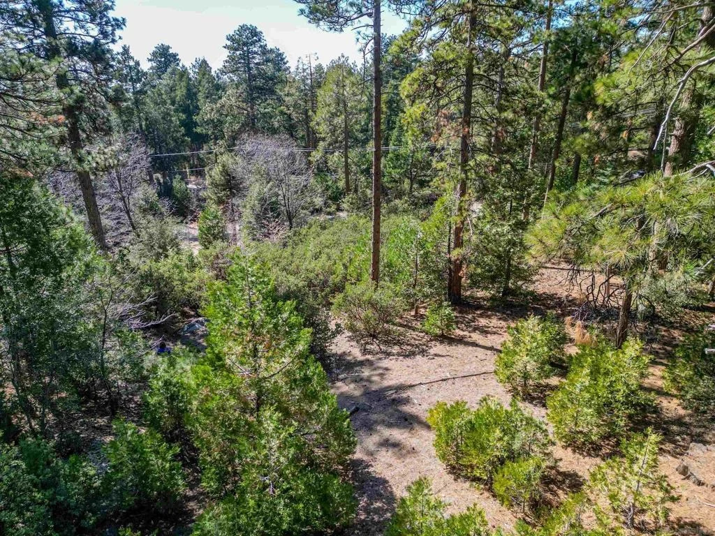 Photo of 0 Laurel Trail