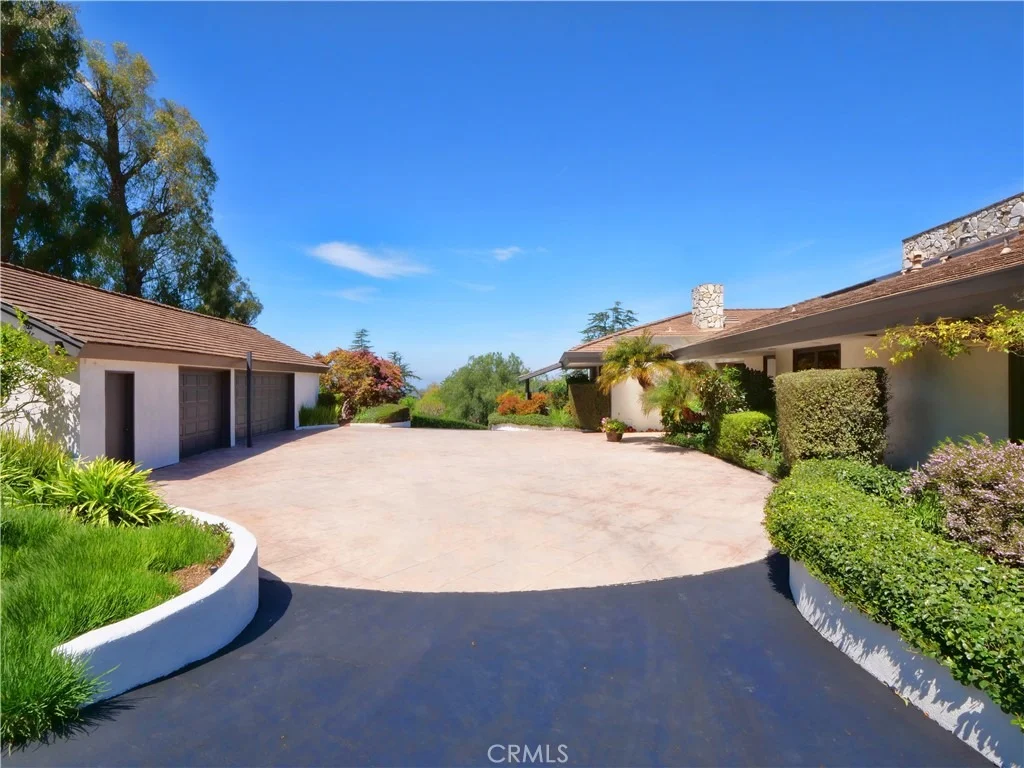 Photo of 57 Saddleback