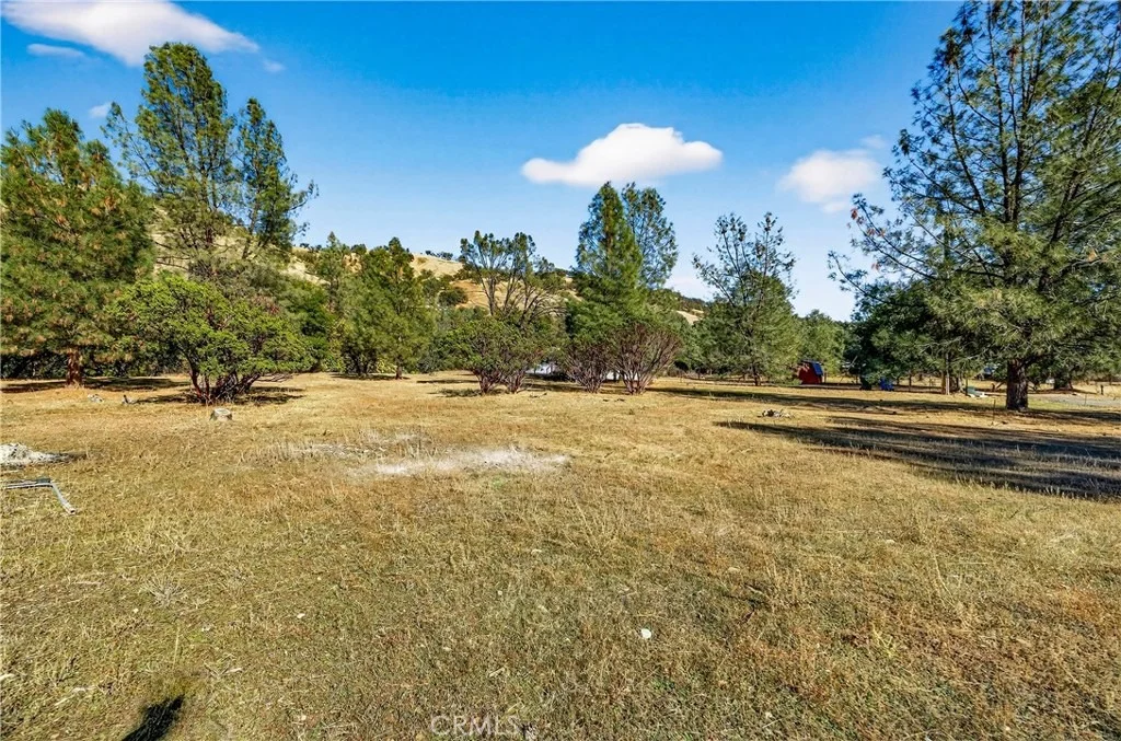 Photo of 3245 Weeping Willow Way