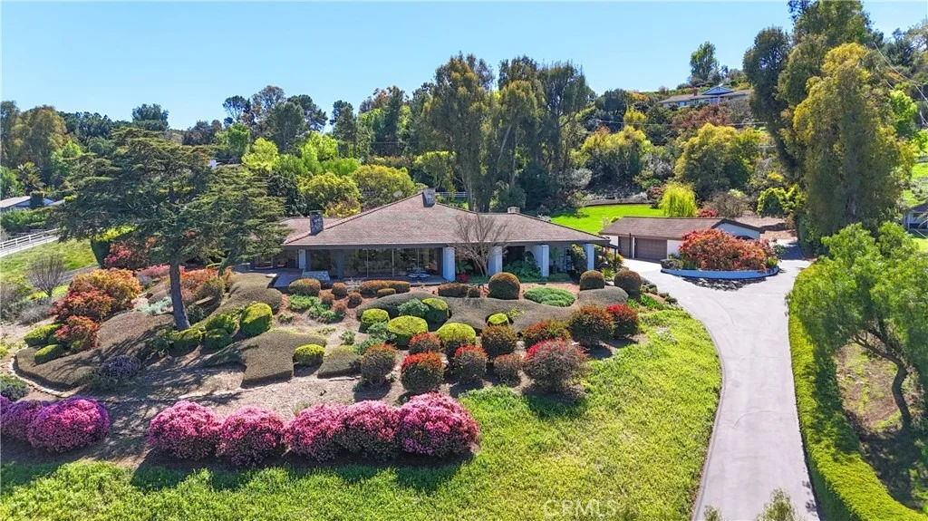 Photo of 57 Saddleback