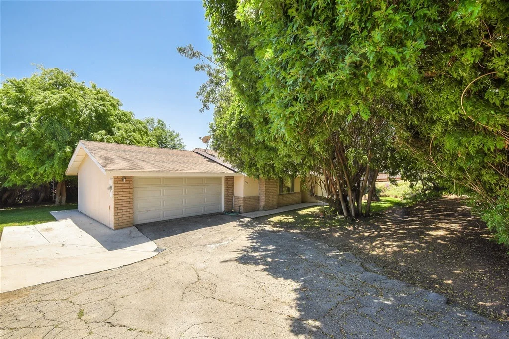 Photo of 260 Plumosa