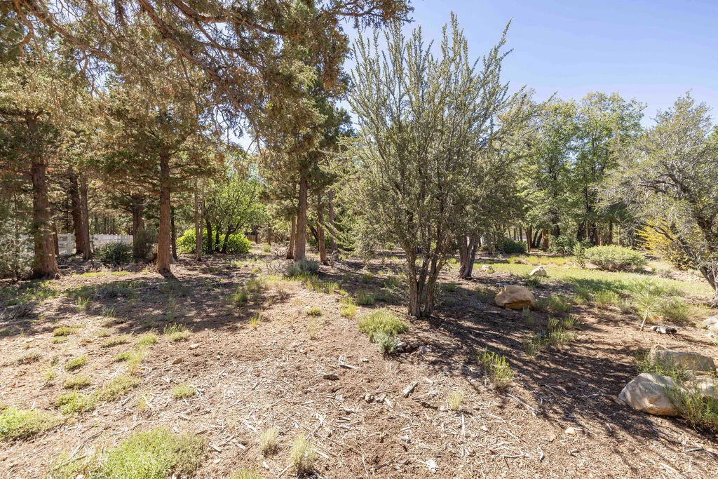 Photo of 655 Cedar Glen Drive