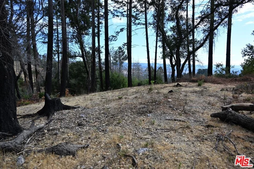 Photo of 2910 Spring Mountain Road