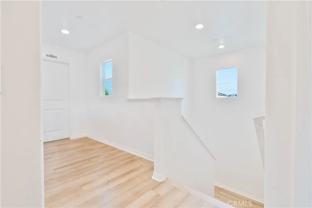 Photo of 1028 Coriander