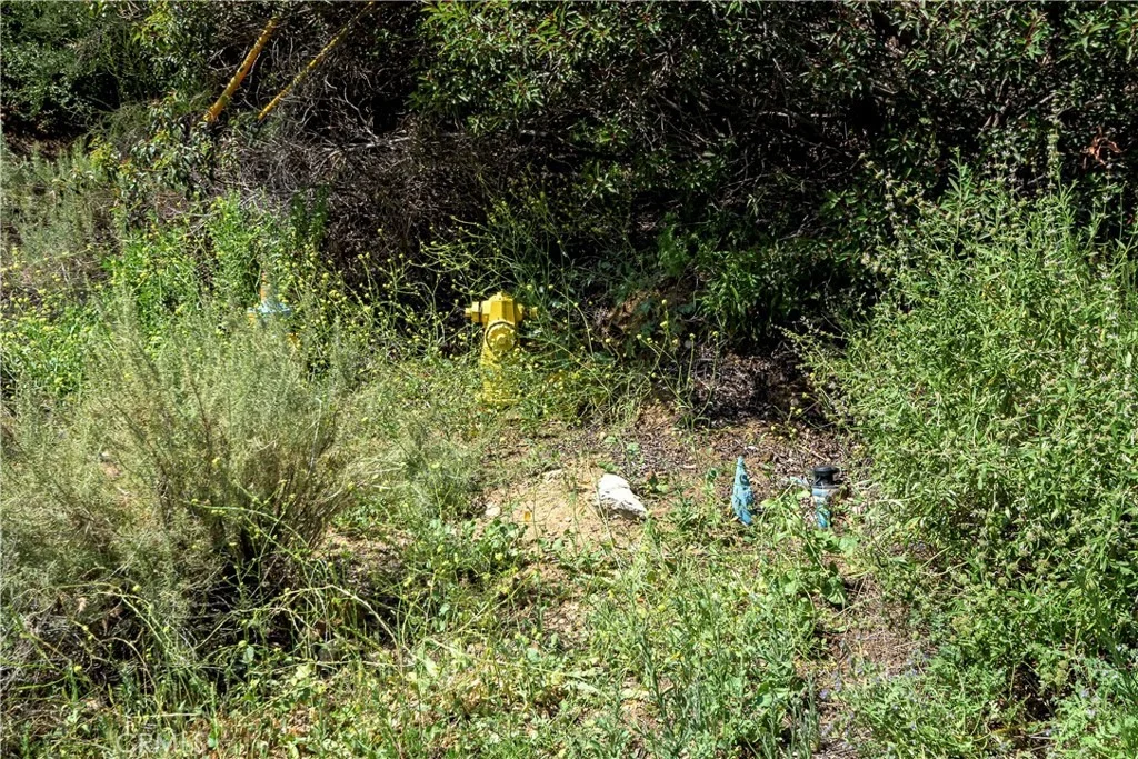 Photo of 7451 Verdugo Crestline
