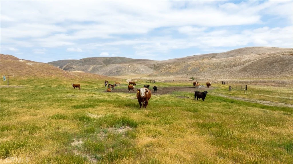 Photo of 8050 Bitterwater Road