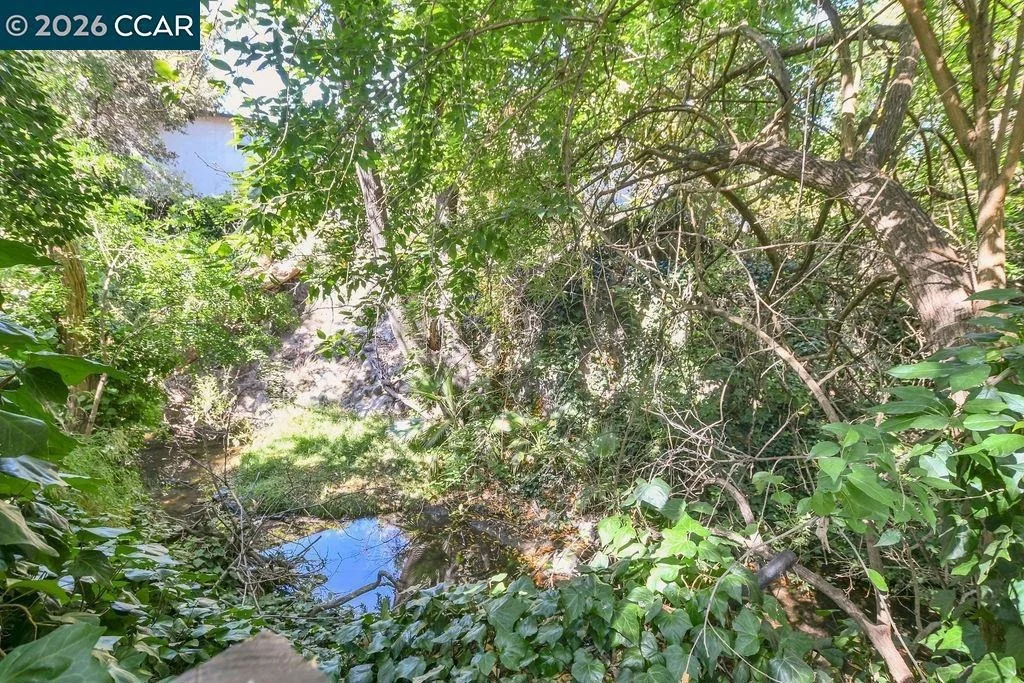 Photo of 915 Brown Street