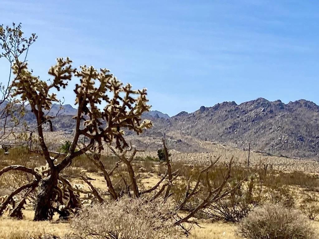 Photo of 62585 Two Mile Road