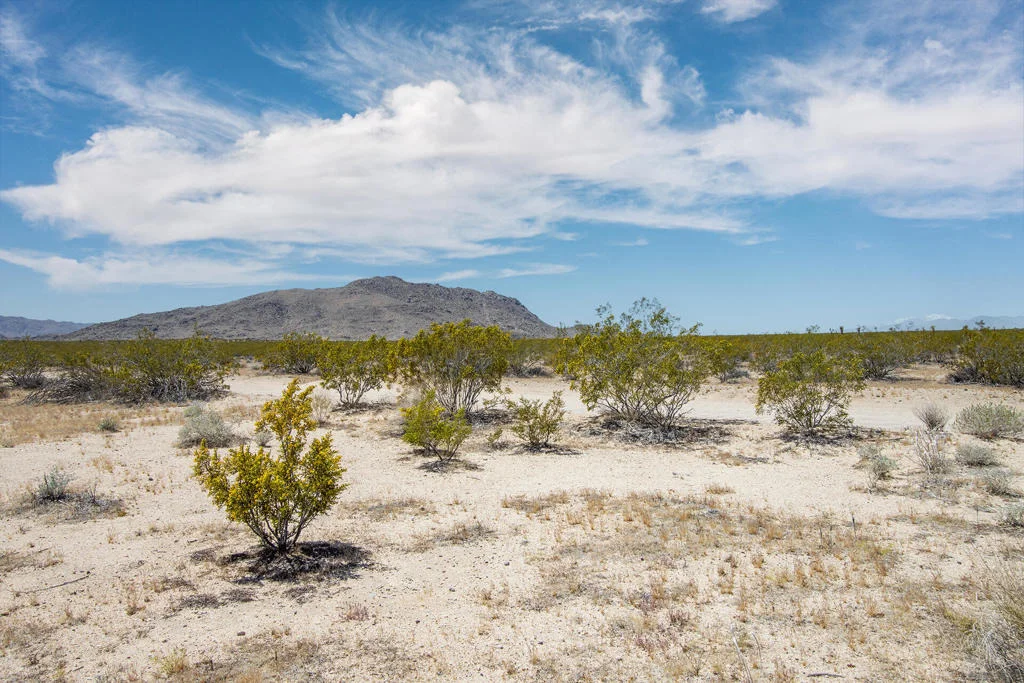 Photo of 3375 Sunset Road