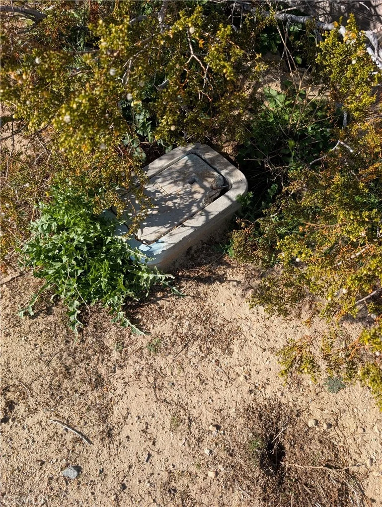 Photo of 26200 Cheyenne