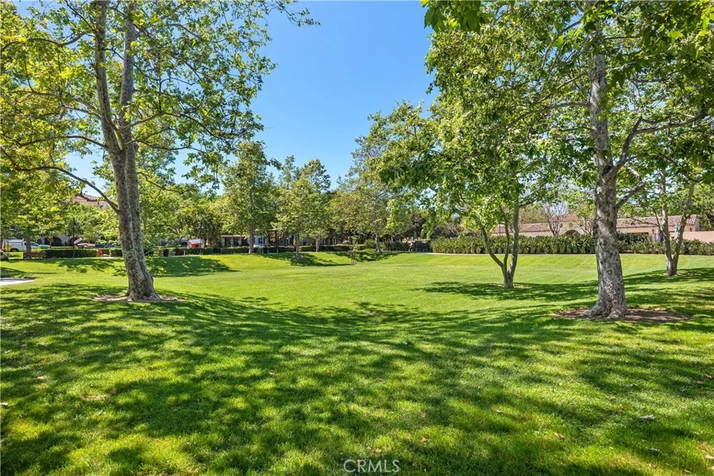 Photo of 95 Canopy