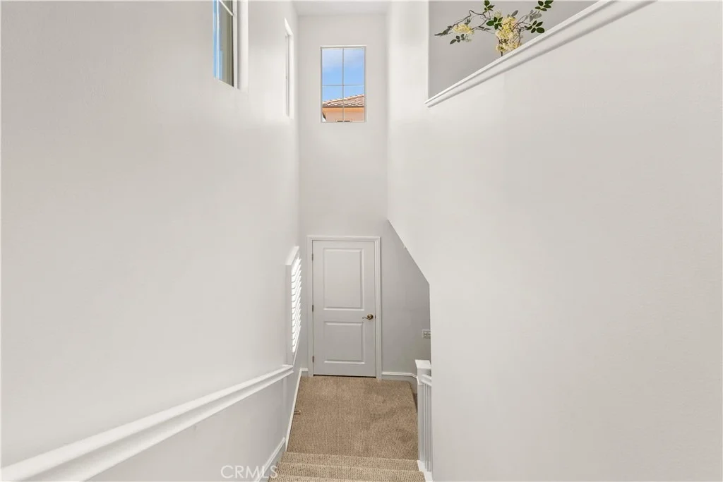 Photo of 53 Cherry Tree
