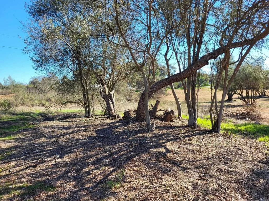 Photo of 616 Alpine Heights-20acres