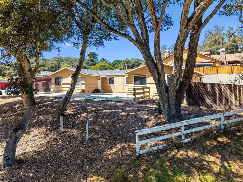 Photo of 76857695 Pine Tree