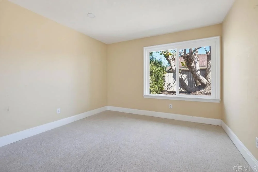 Photo of 3 Sunrose