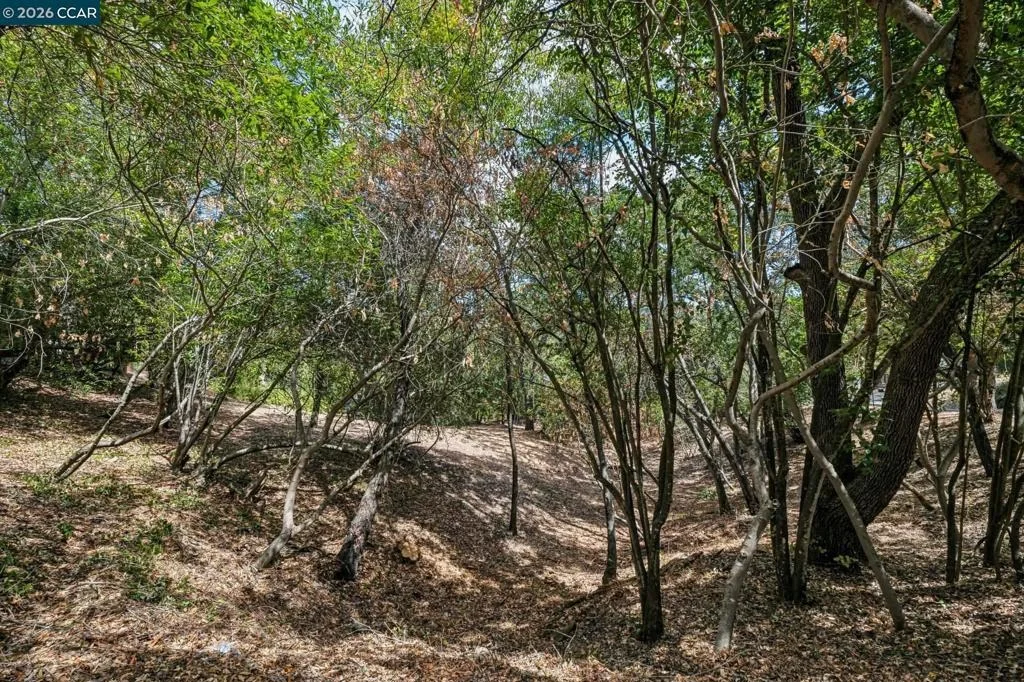 Photo of Ridge Road